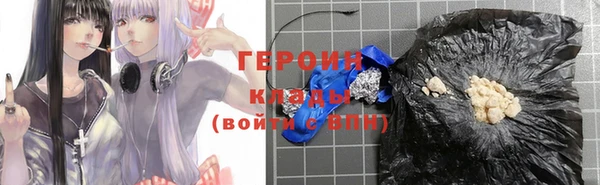 молекула духа Богданович