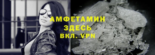 молекула духа Богданович