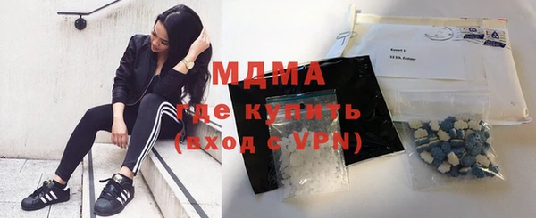 молекула духа Богданович