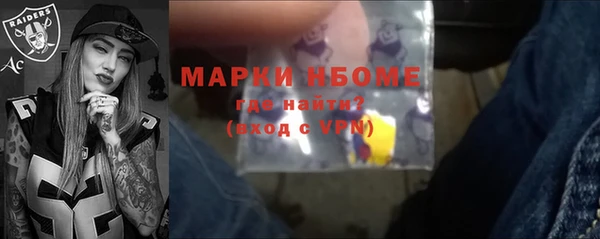 молекула духа Богданович