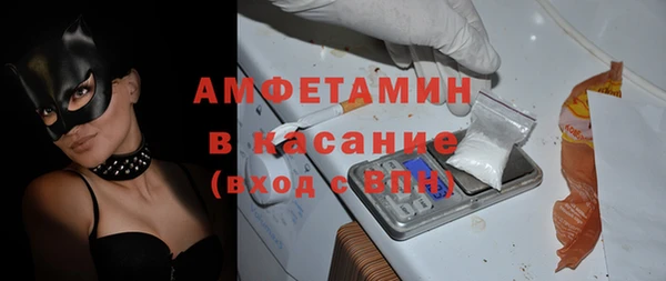 молекула духа Богданович