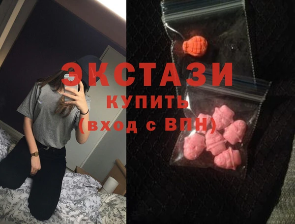 молекула духа Богданович