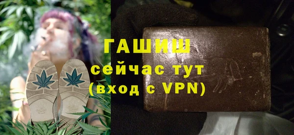 молекула духа Богданович