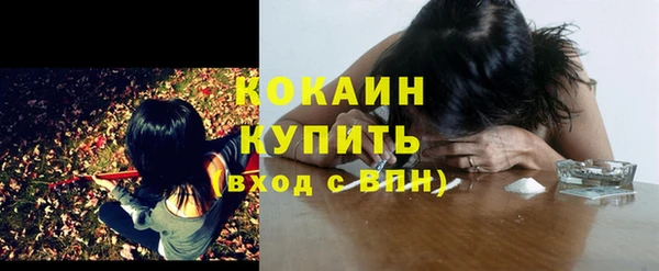 Альфа ПВП Богородицк