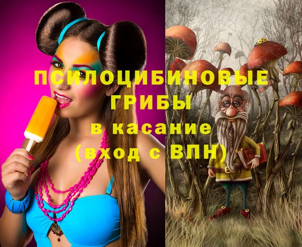 молекула духа Богданович