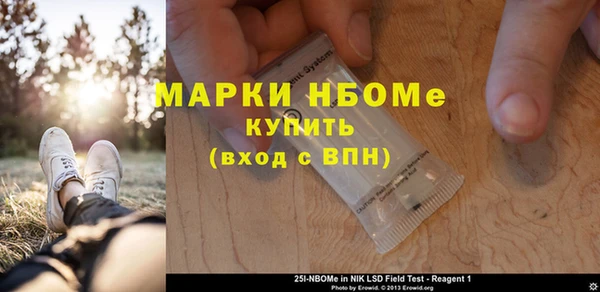 молекула духа Богданович