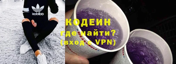 молекула духа Богданович